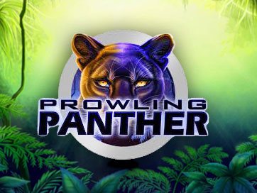 Prowling Panther